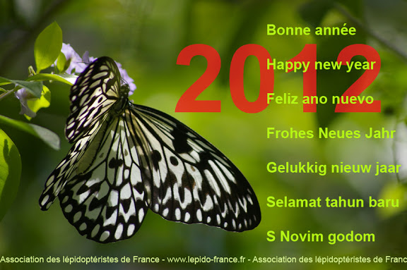voeux_2012