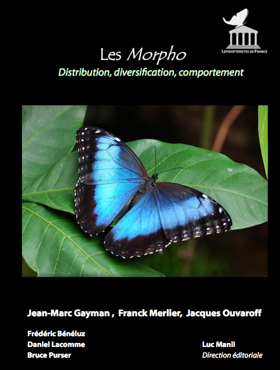 Les Morpho - Distribution, diversification, comportement - morpho1