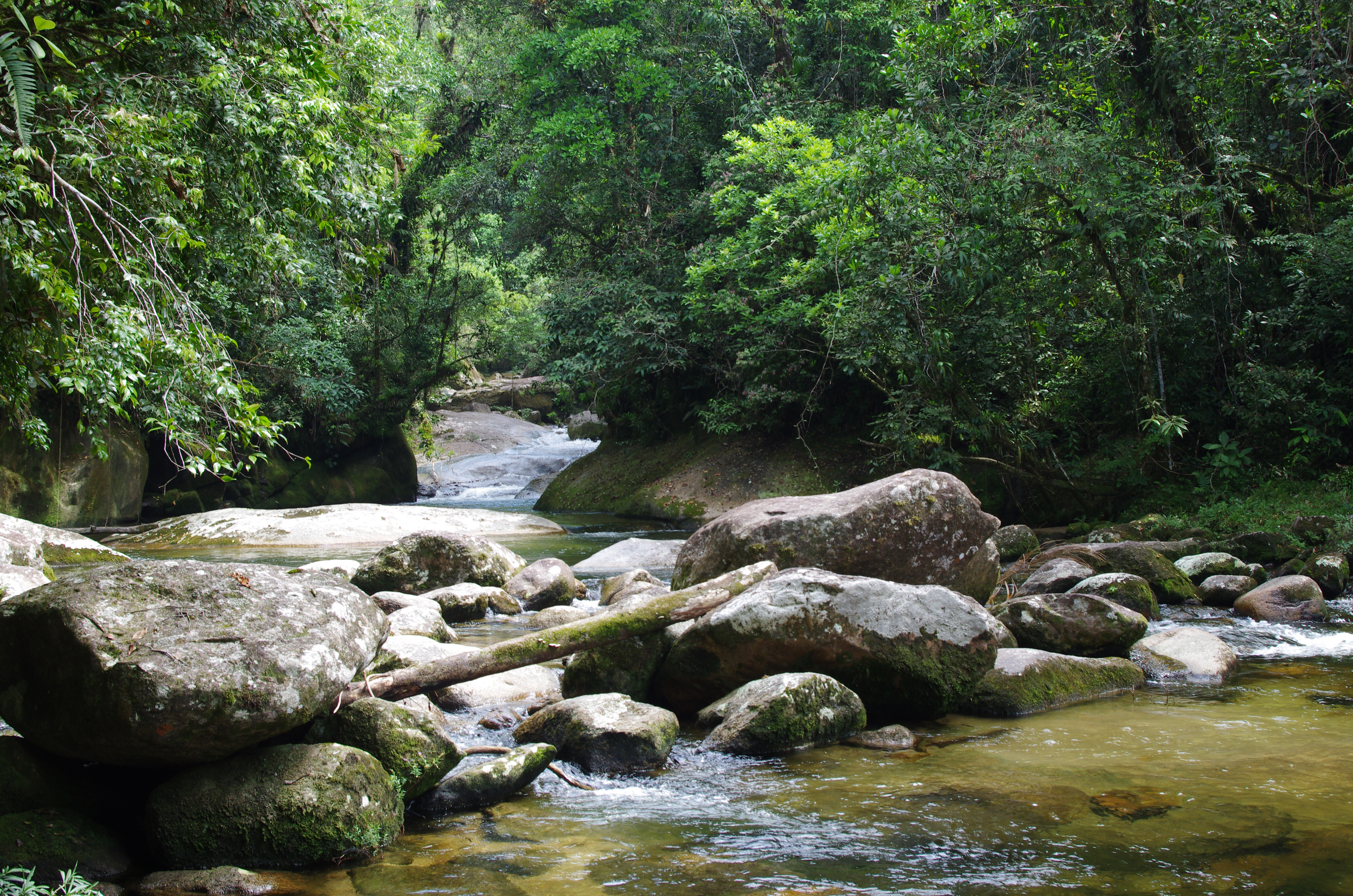 rio pouso alto sertao de barra do una SP 9 fev 2012 jmg