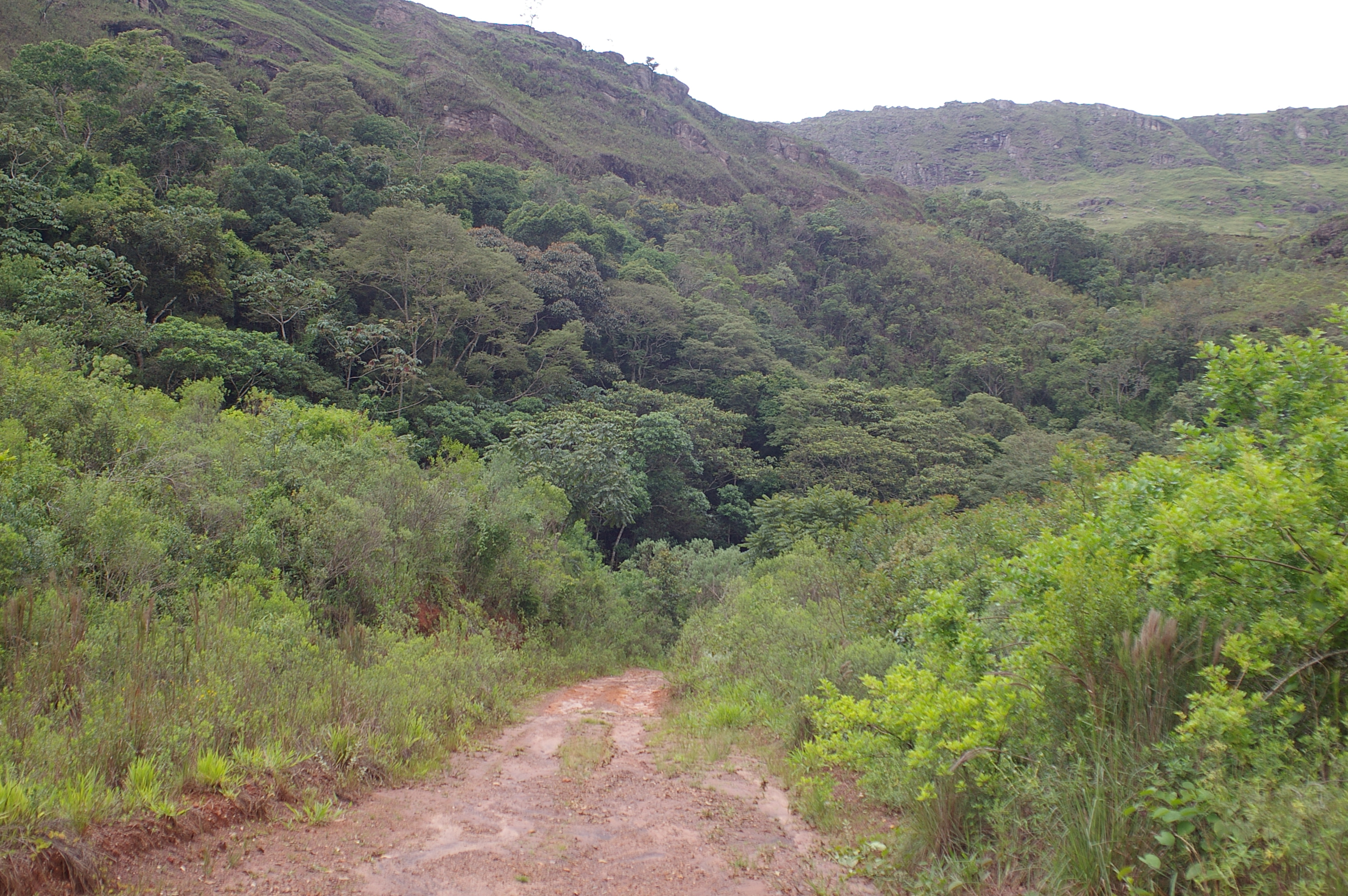 serra de itatiaia MG 31 dec 2005 jmg