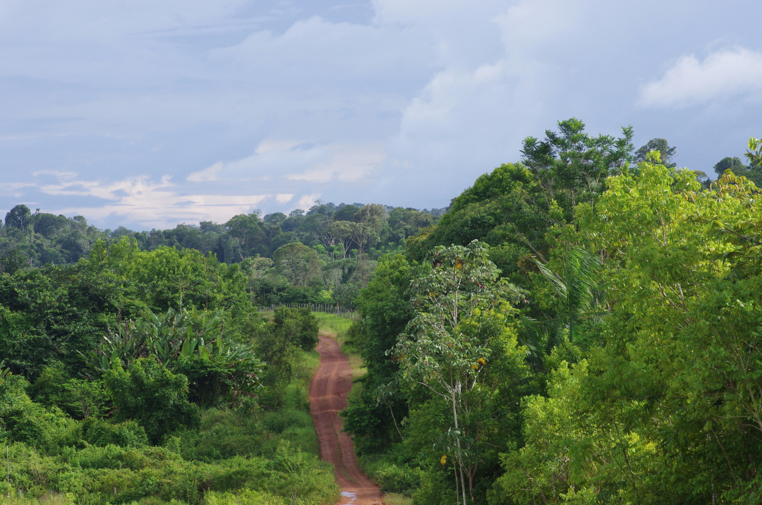 Plateau des Mines la piste vers la foret 30 novembre 2017. Photo J. M. Gayman