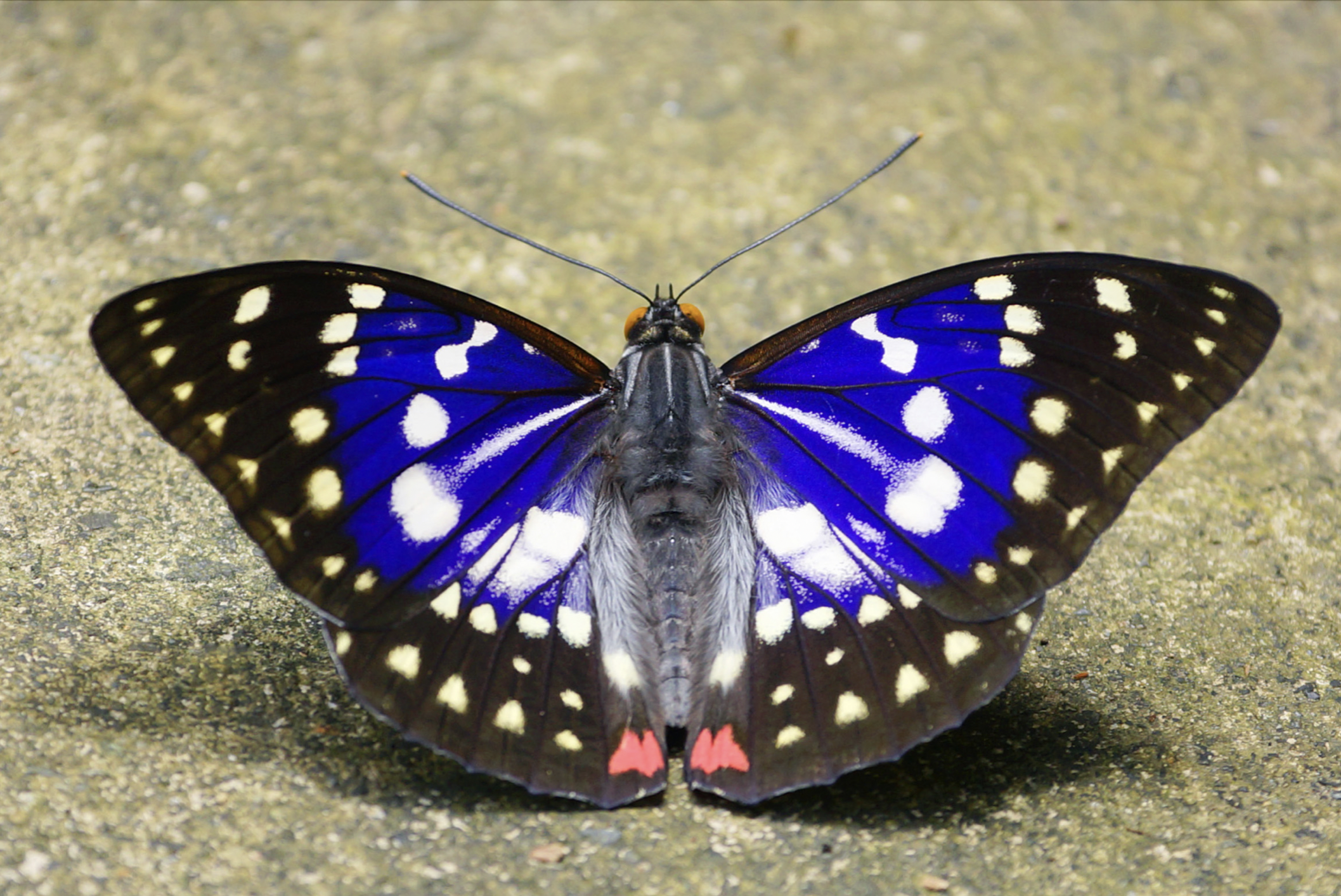 capture decran 2025 02 27 a 182925