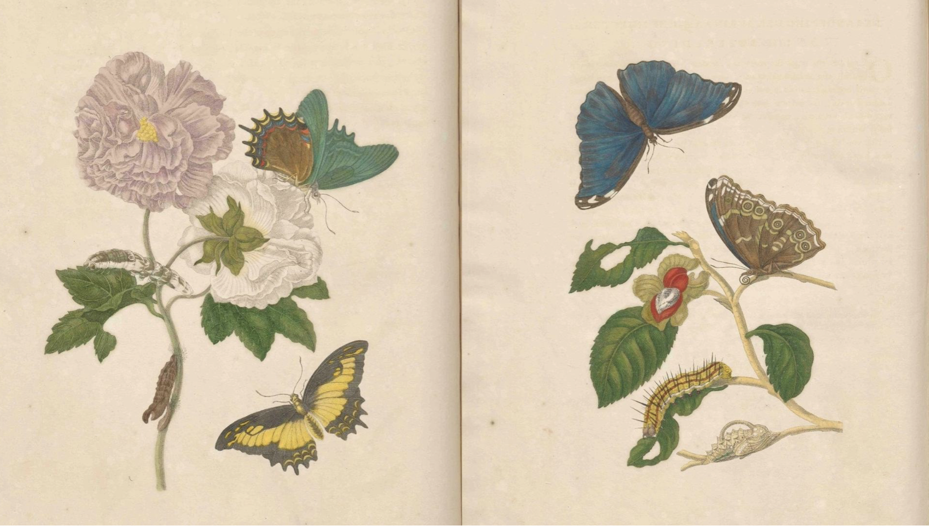 capture decran 2026 03 24 a 181304