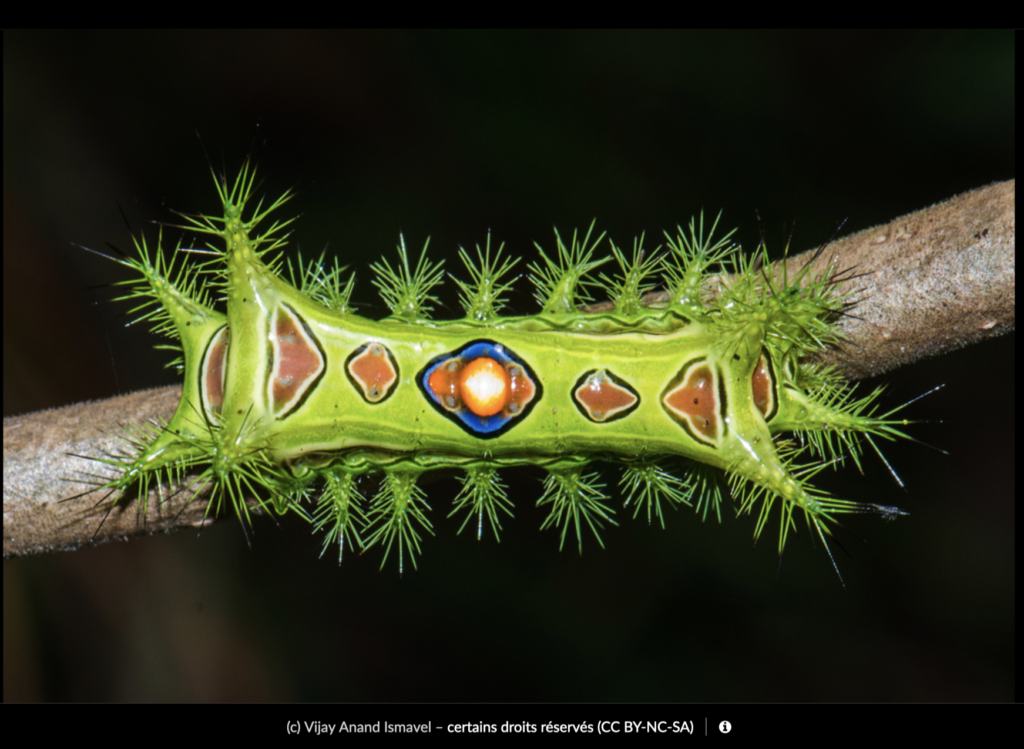 capture decran 2026 04 27 a 105753