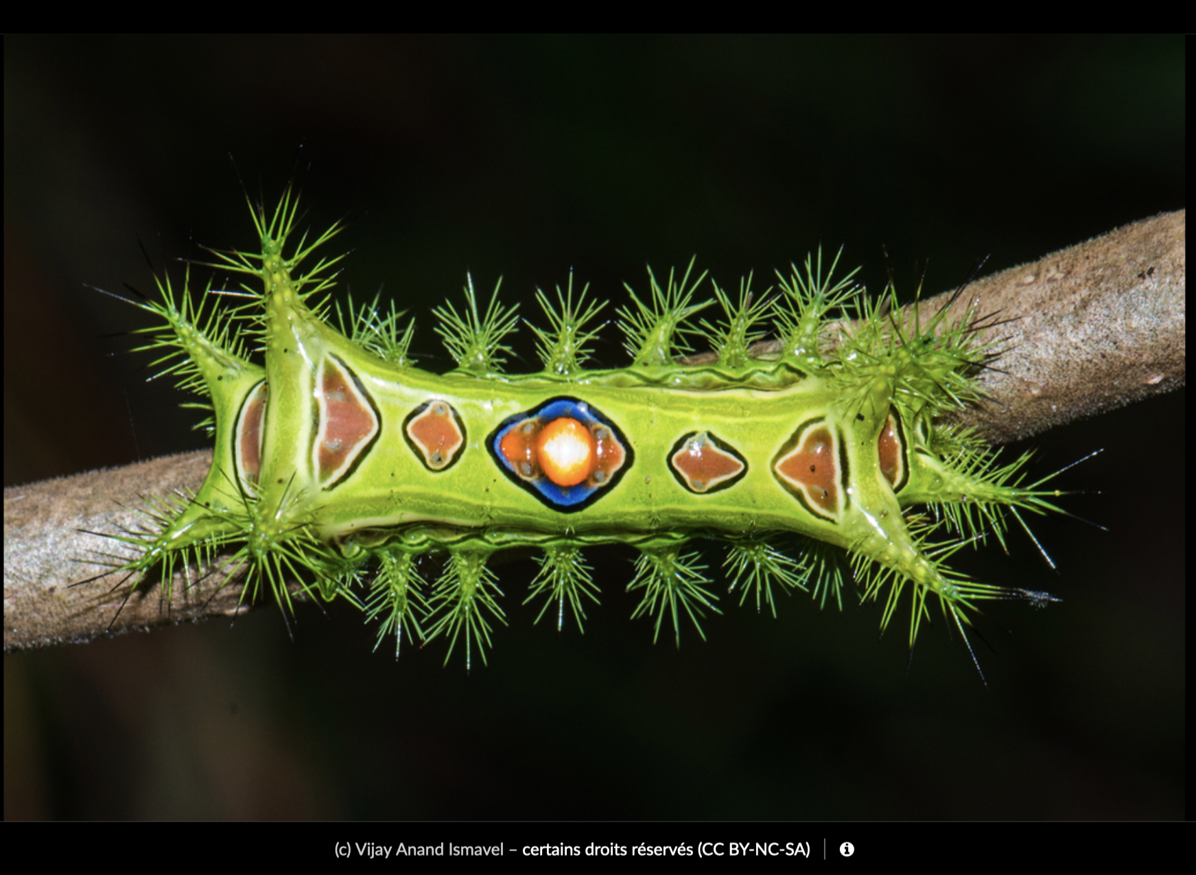 capture decran 2026 04 27 a 105753