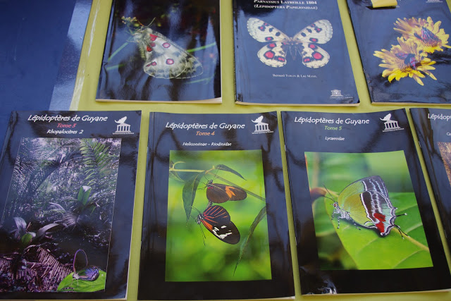 Les 20èmes rencontres entomologiques - Juvisy